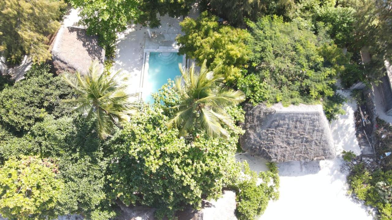 Garden Beach Bungalows Jambiani Jambiani  Exteriér fotografie