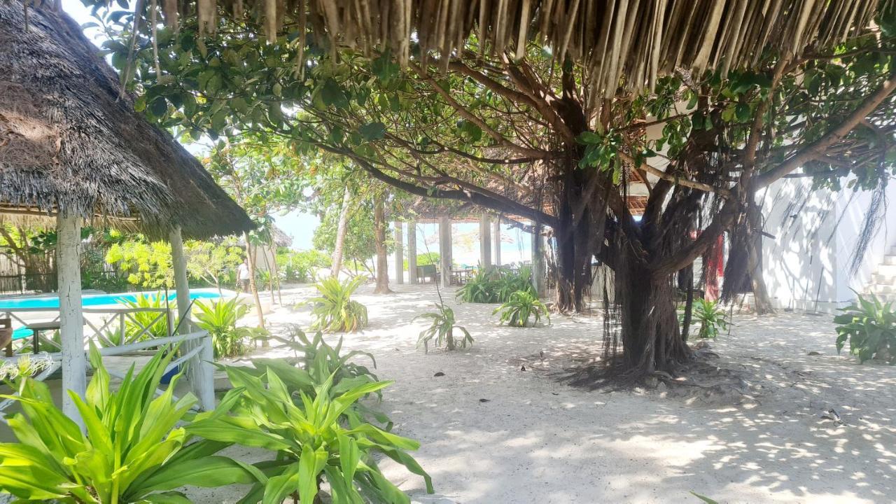 Garden Beach Bungalows Jambiani Jambiani  Exteriér fotografie