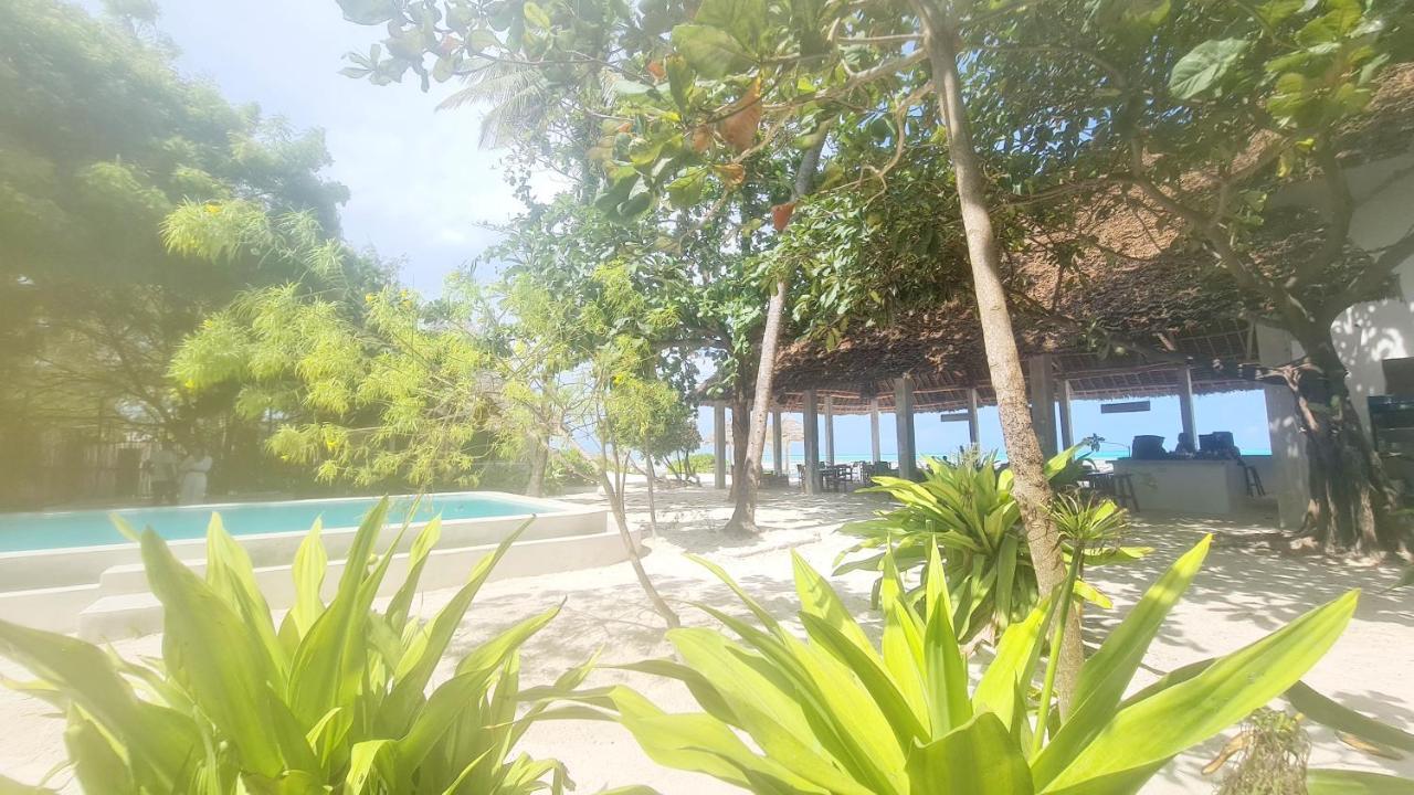 Garden Beach Bungalows Jambiani Jambiani  Exteriér fotografie